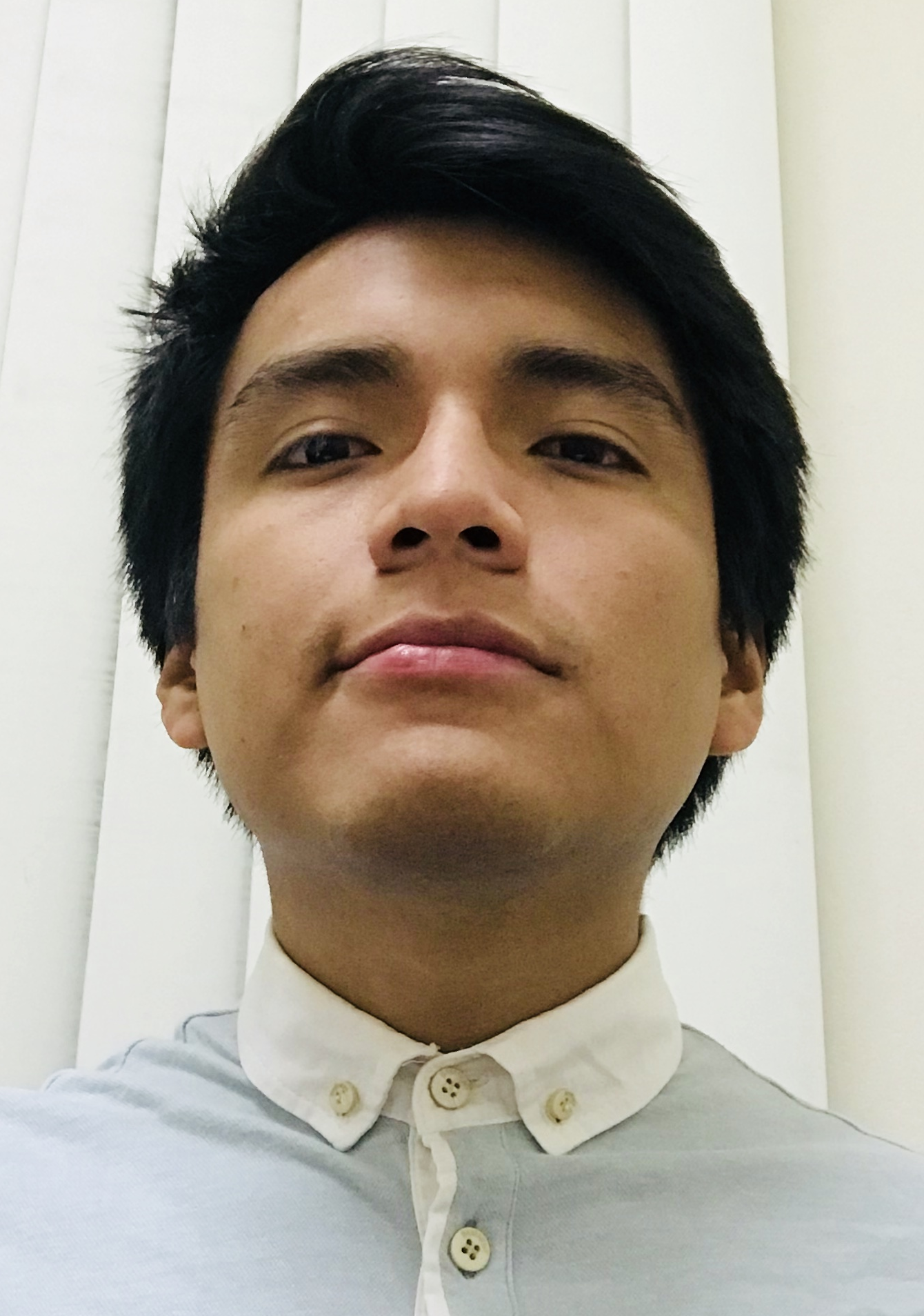 ARNOLD TAFUR MENDOZA 